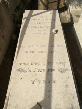 תמונת מצבה