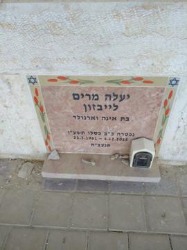 תמונת מצבה