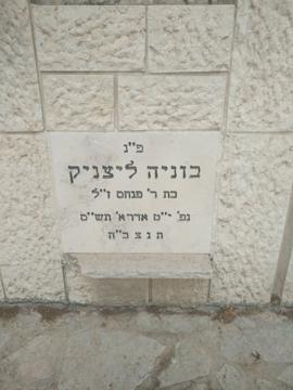 תמונת מצבה