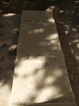 תמונת מצבה