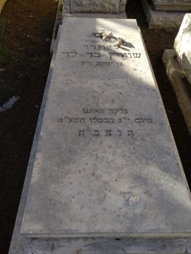 תמונת מצבה