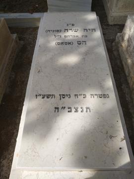 תמונת מצבה