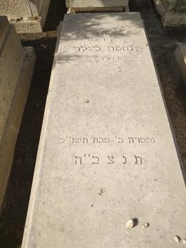 תמונת מצבה