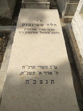 תמונת מצבה