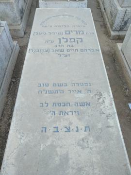 תמונת מצבה