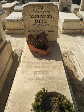 תמונת מצבה