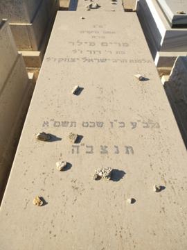 תמונת מצבה