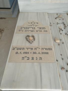 תמונת מצבה