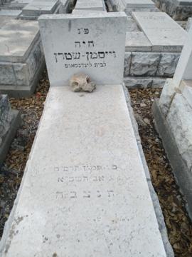 תמונת מצבה