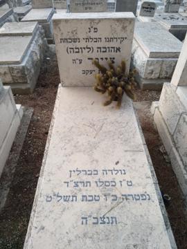 תמונת מצבה