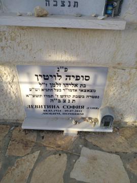 תמונת מצבה