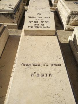 תמונת מצבה
