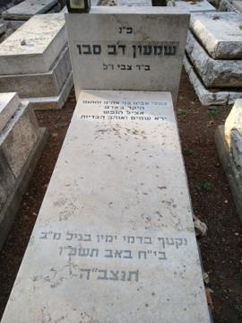 תמונת מצבה
