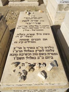 תמונת מצבה