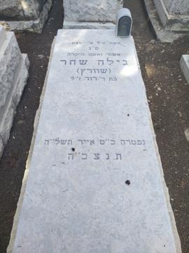 תמונת מצבה