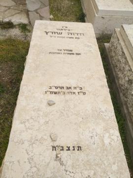 תמונת מצבה