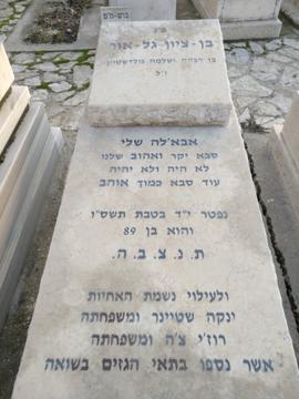 תמונת מצבה
