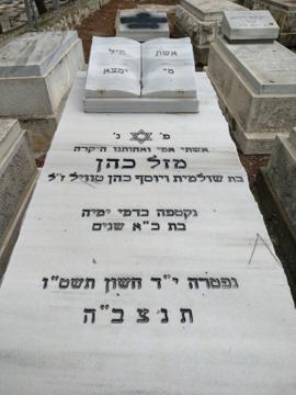 תמונת מצבה