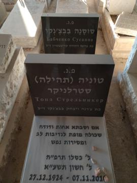 תמונת מצבה
