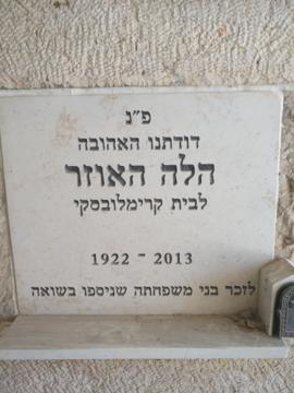 תמונת מצבה