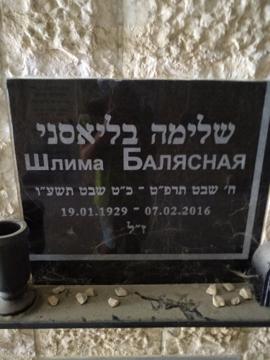 תמונת מצבה