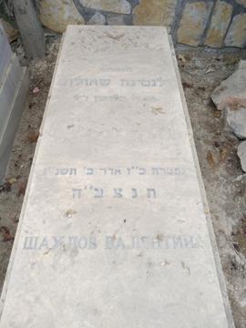 תמונת מצבה