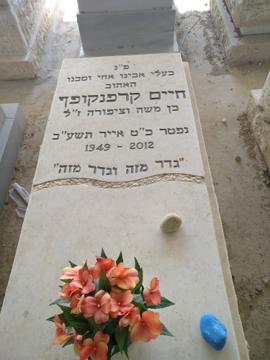 תמונת מצבה