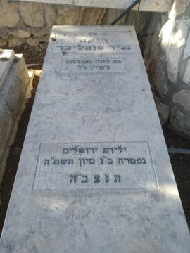 תמונת מצבה