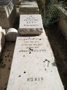 תמונת מצבה
