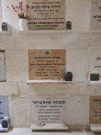 תמונת מצבה