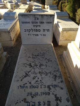 תמונת מצבה