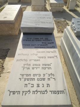 תמונת מצבה