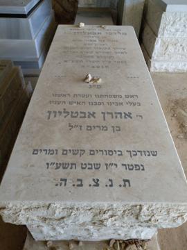 תמונת מצבה