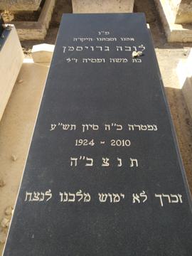תמונת מצבה