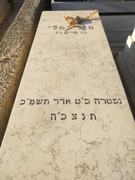 תמונת מצבה
