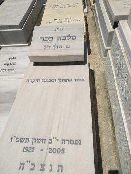 תמונת מצבה
