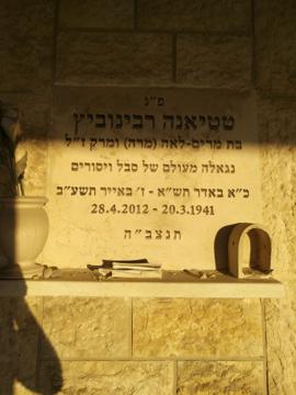תמונת מצבה