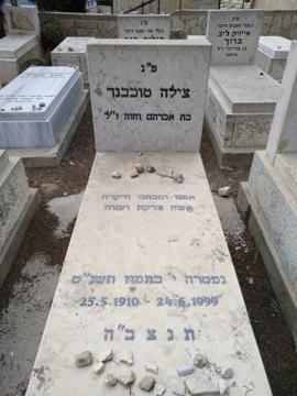 תמונת מצבה