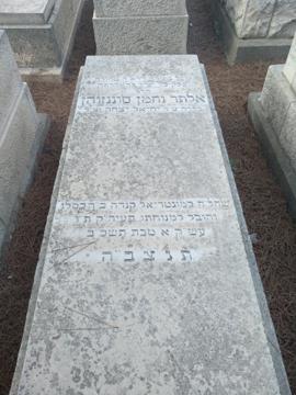 תמונת מצבה