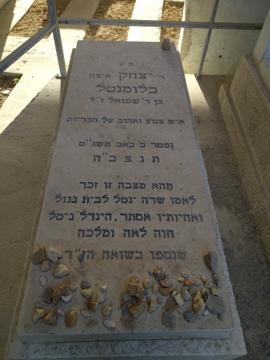 תמונת מצבה