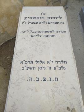 תמונת מצבה