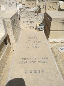 תמונת מצבה