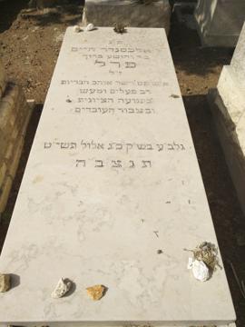 תמונת מצבה