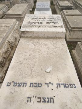 תמונת מצבה