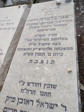 תמונת מצבה