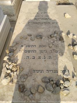 תמונת מצבה