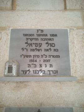 תמונת מצבה