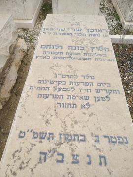 תמונת מצבה