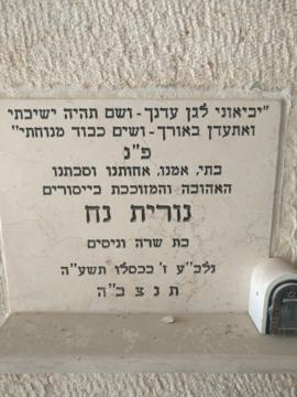 תמונת מצבה