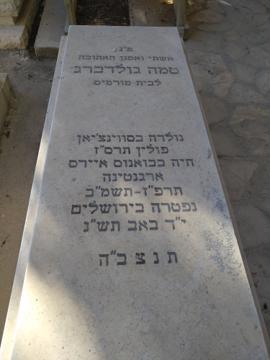 תמונת מצבה